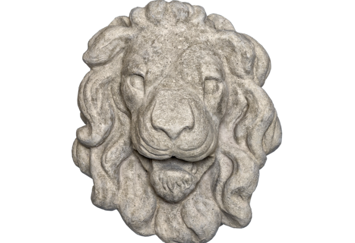 Lion Head 3 - Gray Color - Smooth Texture - web version Lion Head 3 - Gray Color - Smooth Texture - web version