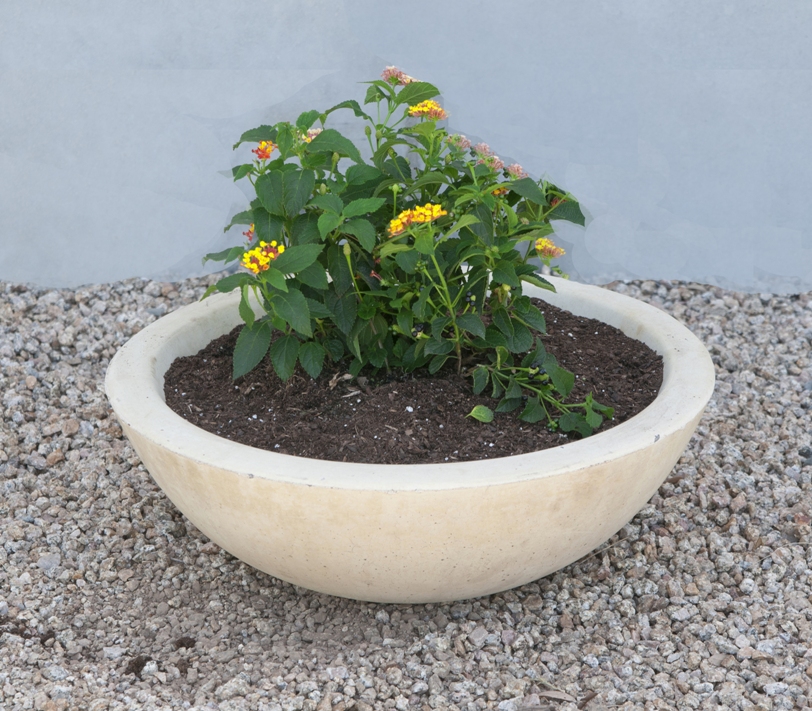 Mesa Precast Planters, Ornamentals