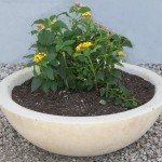 Mesa Precast Catalog Product –  Wok Bowl | Flower Pot