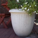 Mesa Precast | Planters in Range of Shapes and Colors as Well